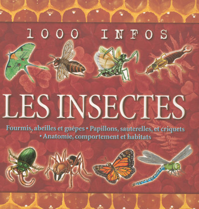 Knjiga Les insectes Barbara Taylor