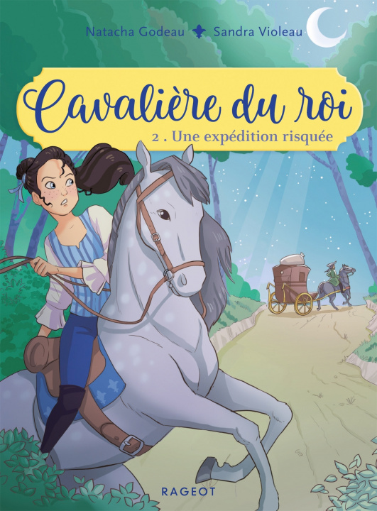 Kniha Cavalière du roi - Une expédition risquée Natacha Godeau