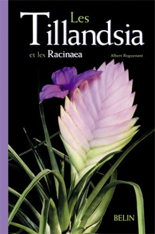 Kniha Les Tillandsia et les Racinaea Raynal Roques