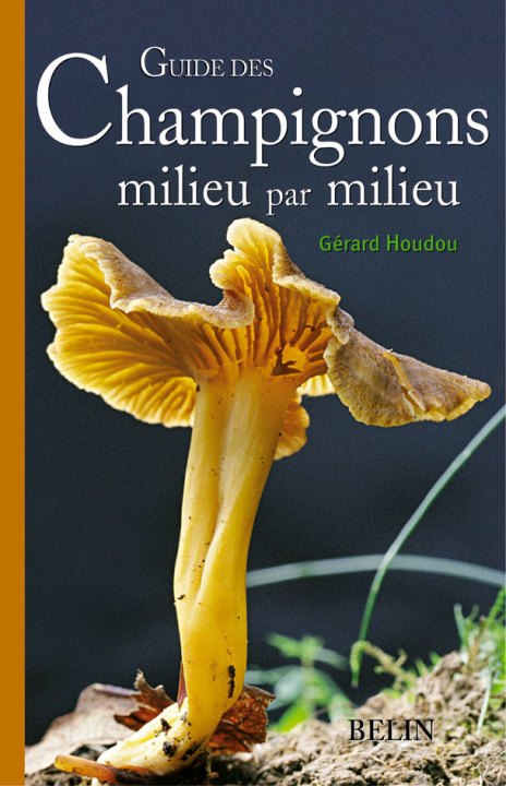 Kniha Guide des champignons milieu par milieu Maillat