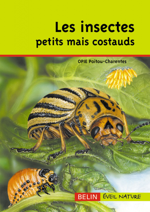 Kniha Les insectes Verdier