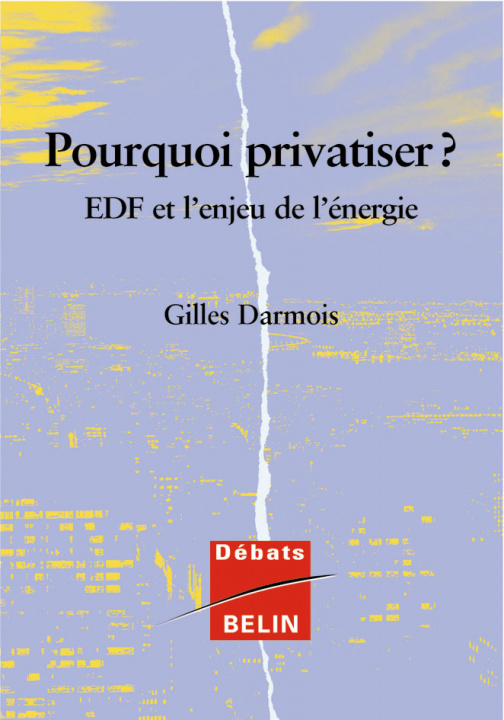 Kniha A quoi bon privatiser ? L'enjeu français de l'énergie Salomon