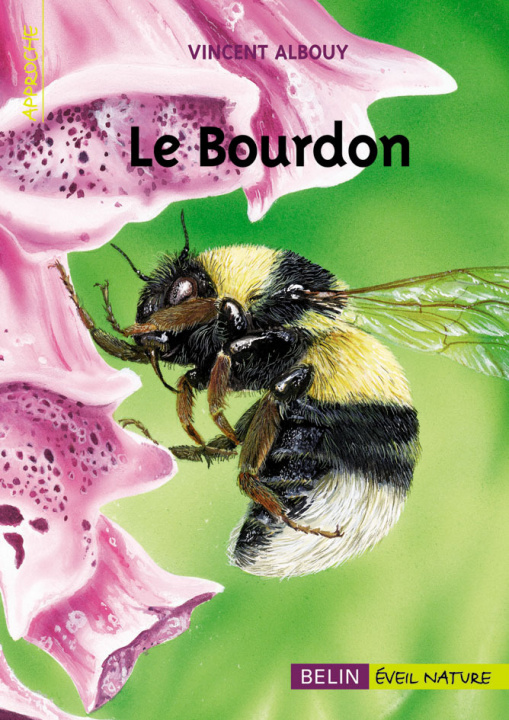 Knjiga Le bourdon Dorigny
