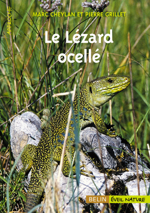 Boek Le Lézard ocellé Grillet