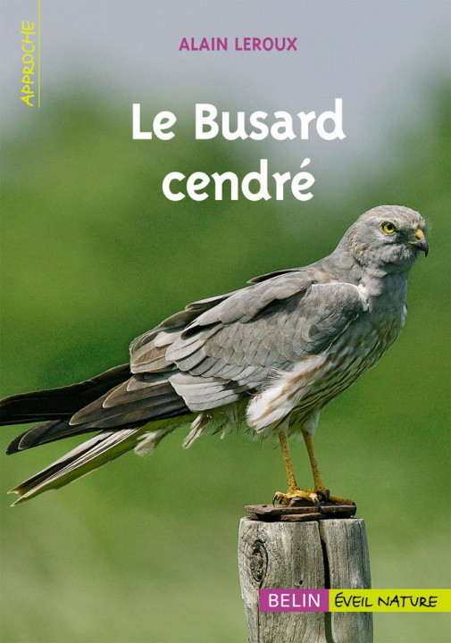 Kniha Le Busard cendré Leroux