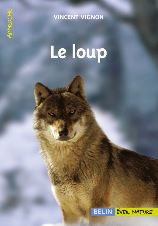Könyv Le loup Vignon