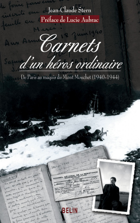 Knjiga Carnets d'un héros ordinaire Stern