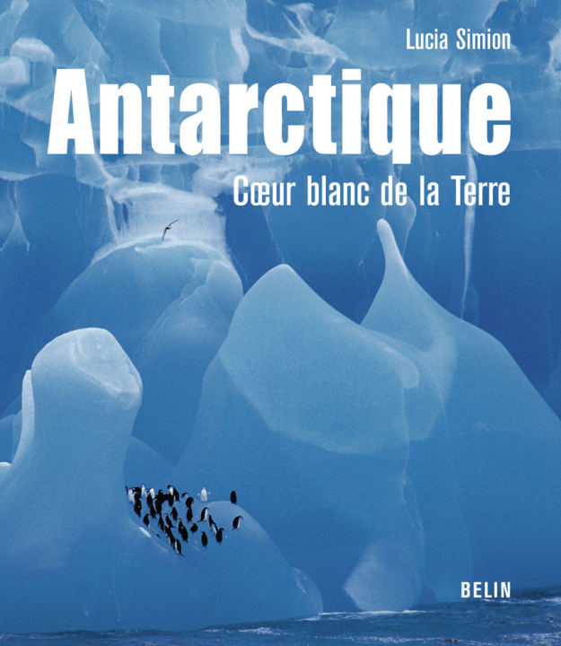 Book Antarctique Simion