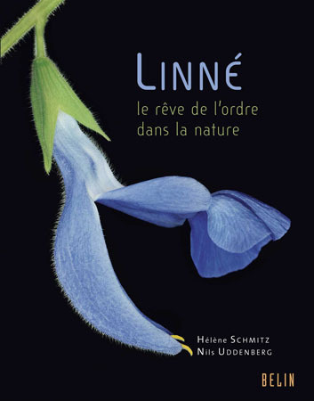Kniha Linné Uddenberg
