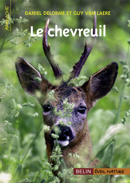 Buch Le Chevreuil Van Laere