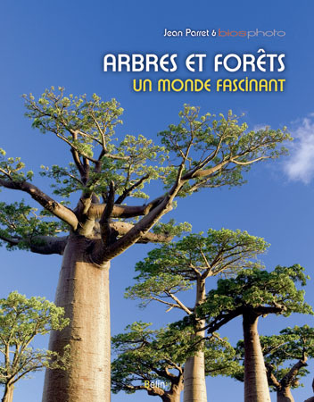 Knjiga Arbres et forêts Parret