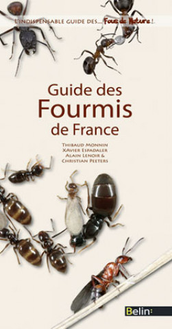 Kniha Guide des fourmis de France Lenoir