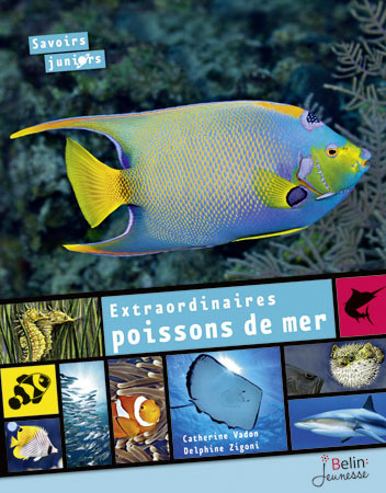 Knjiga Extraordinaires poissons de mer Zigoni