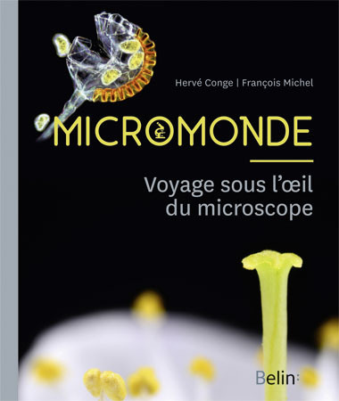 Knjiga Micromonde Michel