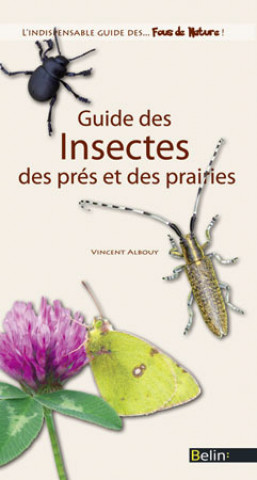 Kniha Guide des insectes des prés et des prairies Eyssartier