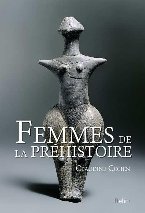Kniha Femmes de la Préhistoire Cohen