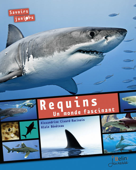 Knjiga Requins. Un monde fascinant Civard-Racinais