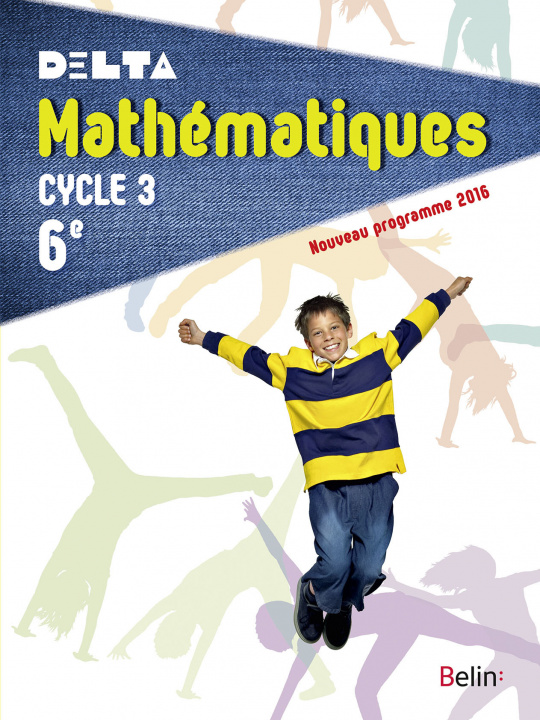 Kniha Maths 6e - 2016 - fin cycle 3 Pineau