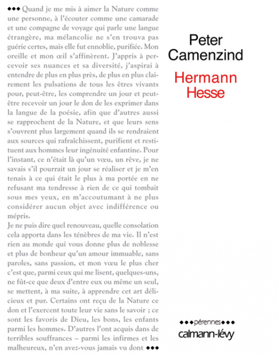 Knjiga PETER CAMENZIND Hermann Hesse