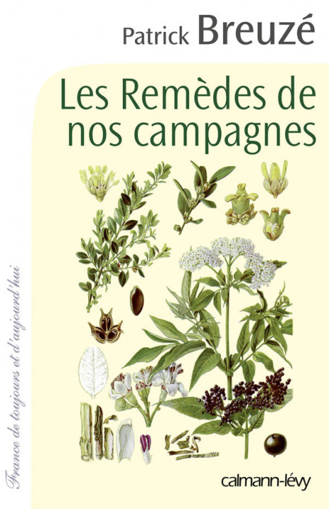 Livre Les Remèdes de nos campagnes Patrick Breuzé