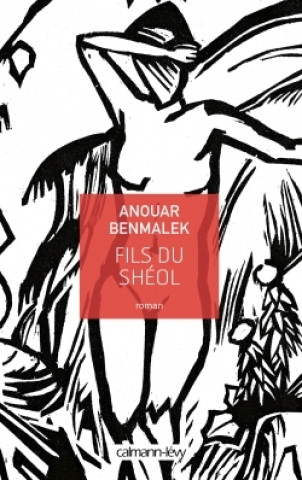 Kniha FILS DU SHEOL Anouar Benmalek