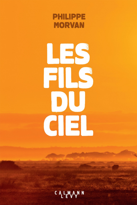 Knjiga Les fils du ciel Philippe Morvan