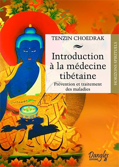 Knjiga INTRODUCTION A LA MEDECINE TIBETAINE Choedrak