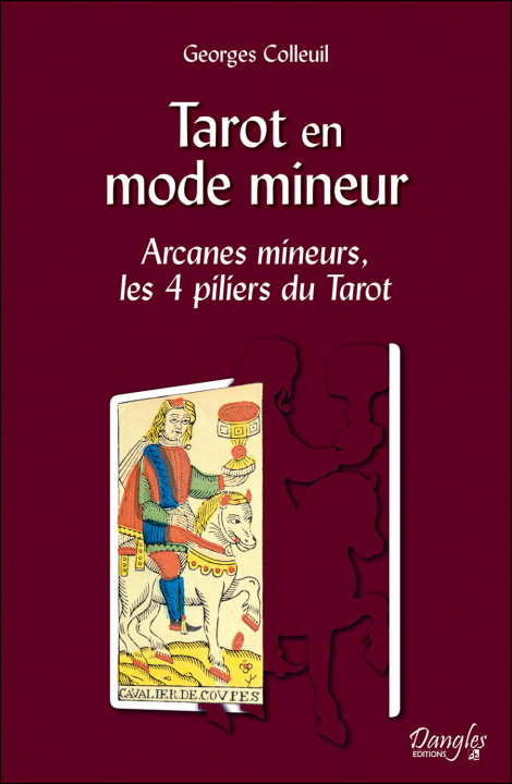 Buch Tarot en mode mineur - arcanes mineurs, les 4 piliers du tarot Colleuil