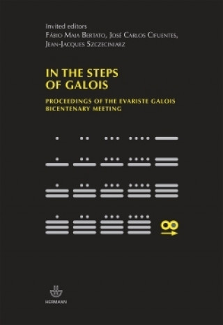 Knjiga In the steps of galois Fabio Maia Bertato