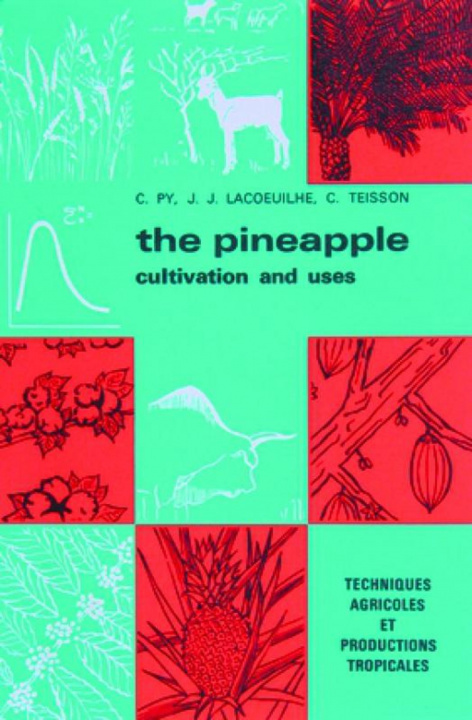 Knjiga The pineapple Teisson