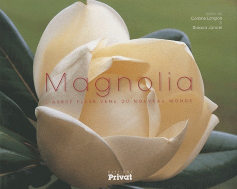 Carte magnolia Langlois corine