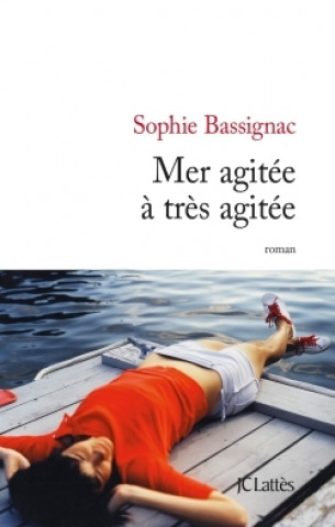Boek Mer agitee a tres agitee Sophie Bassignac