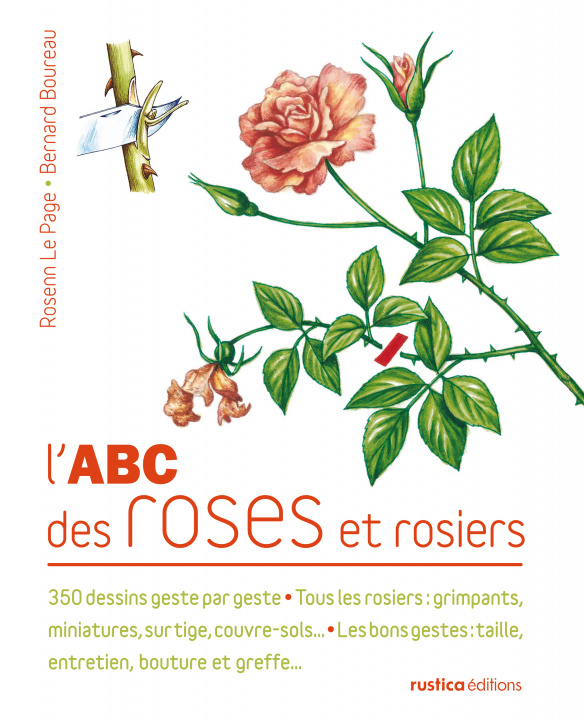 Book ARISTOTE A PLOTIN (D') Jacques CHEVALIER