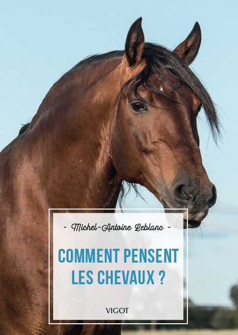 Kniha Comment pensent les chevaux ? Leblanc