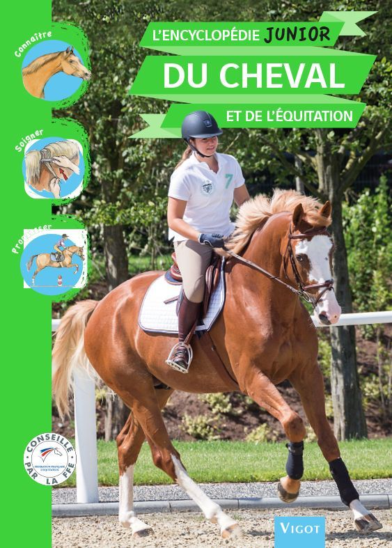 Carte L'Encyclopédie junior du cheval et de l'équitation HENRY GUILLAUME