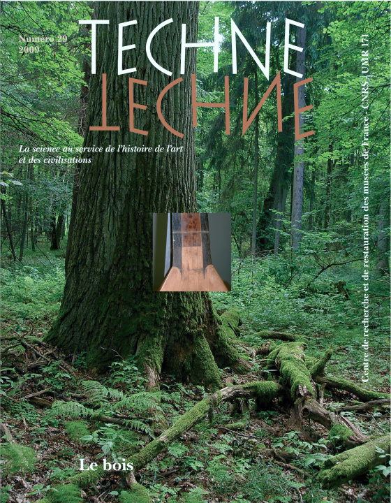 Libro TECHNE, N 29, 2009. LE BOIS LAVIER CATHERINE