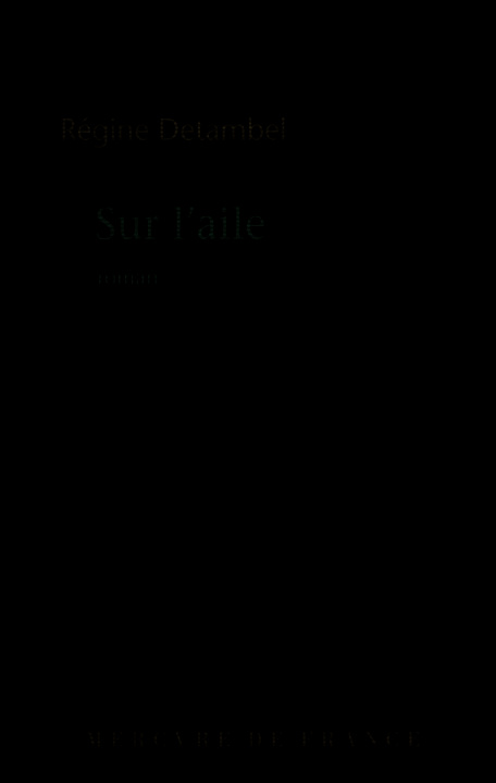 Buch Sur l'aile Detambel