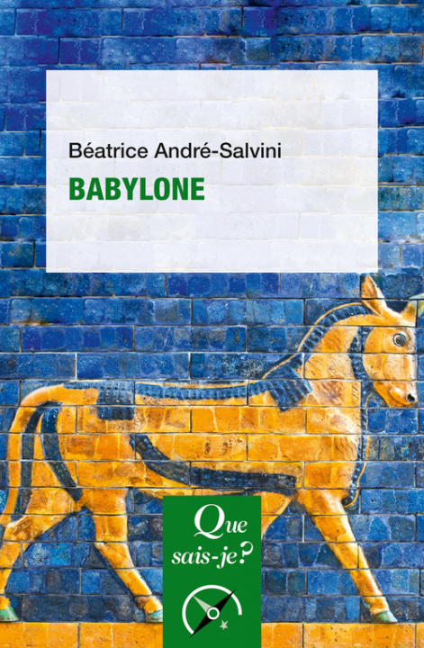 Boek Babylone André-Salvini