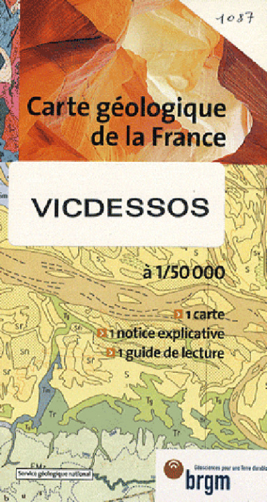 Knjiga VICDESSOS 