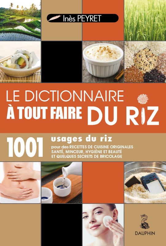 Könyv DICTIONNAIRE A TOUT FAIRE DU RIZ PEYRET INÈS