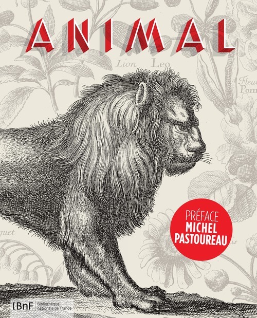 Kniha Animal Rémi Mathis