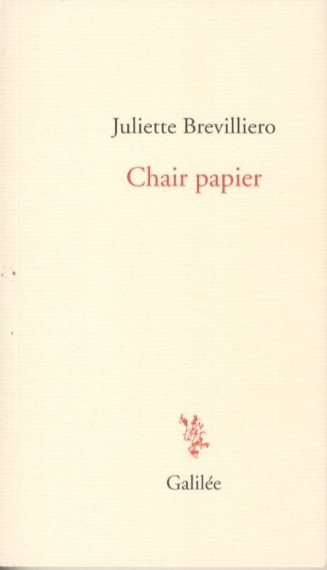 Książka Chair papier BREVILLIERO JULIETTE