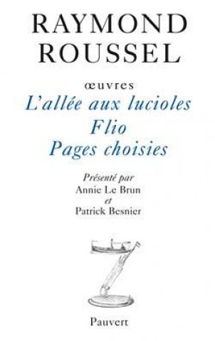 Boek Oeuvres IX Raymond Roussel