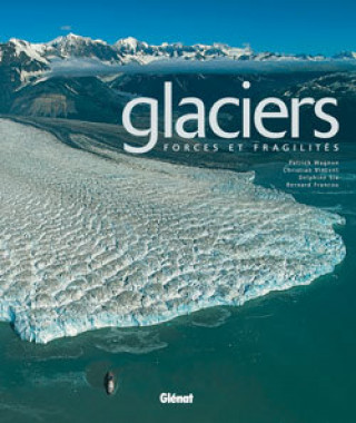 Kniha Glaciers Bernard Francou