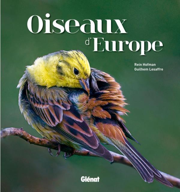 Книга Oiseaux d'Europe Rein Hofman