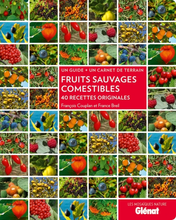Kniha Fruits sauvages comestibles François Couplan