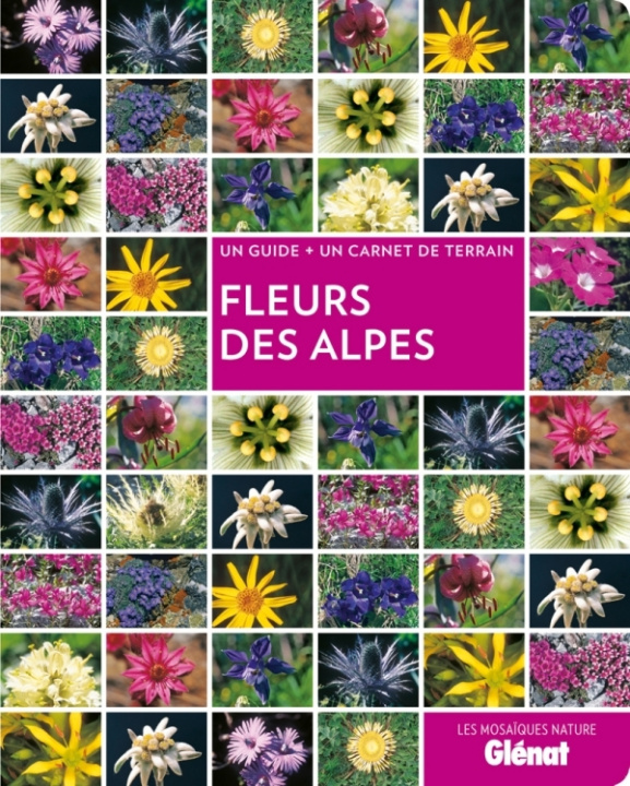Knjiga Fleurs des Alpes Sandrine Stefaniak