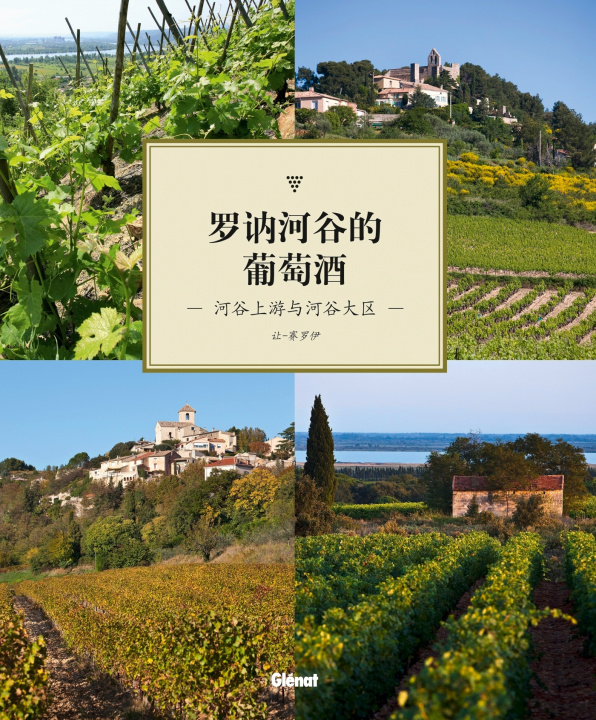 Kniha Les vins du Rhône (version mandarin) Jean Serroy