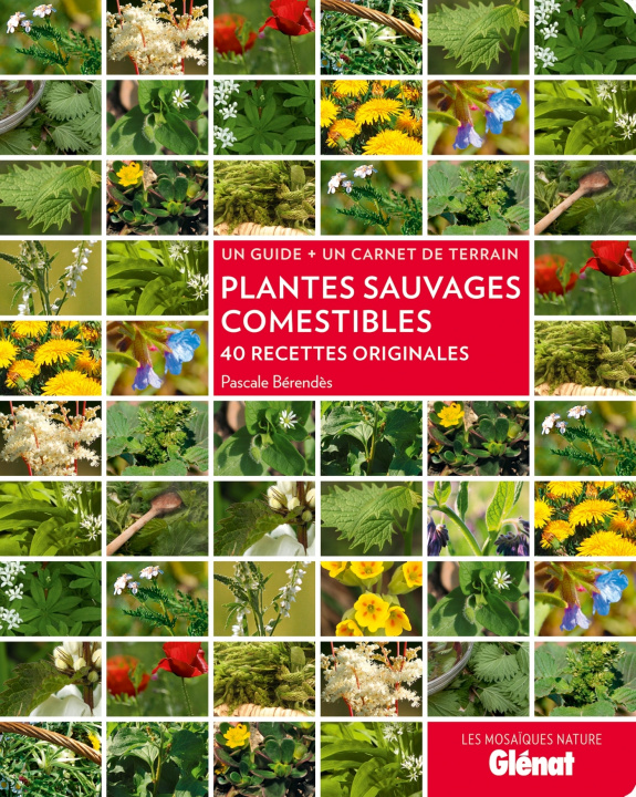Carte Plantes sauvages comestibles Pascale Bérendès
