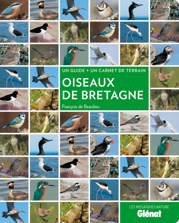 Knjiga Oiseaux de Bretagne François de Beaulieu